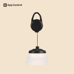 CARGO CONTAINER REEL LIGHT MINI