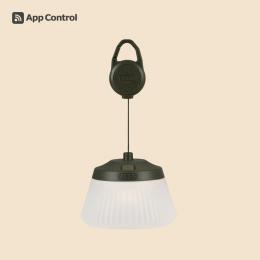 CARGO CONTAINER REEL LIGHT PRO