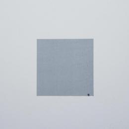 ANTI SPARK RUG/アンチスパークラグ
